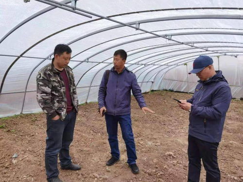 百期網課開新局，科技助農譜新篇——市農業科學院“學史力行慶華誕”網絡課堂圓滿結課